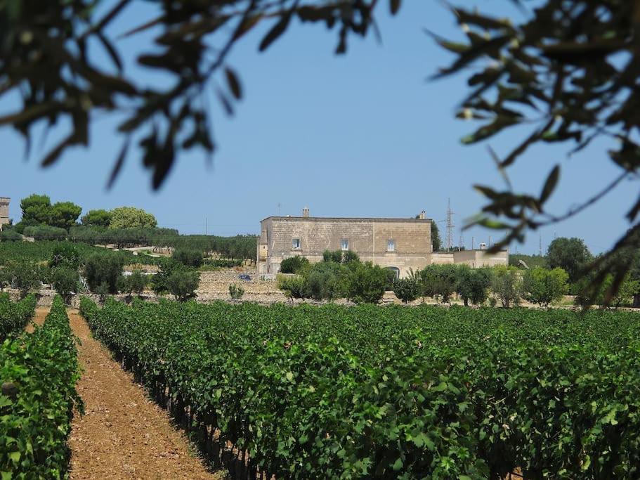 Masseria Angiulli Piccolo Contrada Angiulli 74023 Grottaglie Villa Villa Castelli Exterior foto